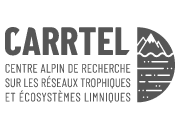 logo CARRTEL